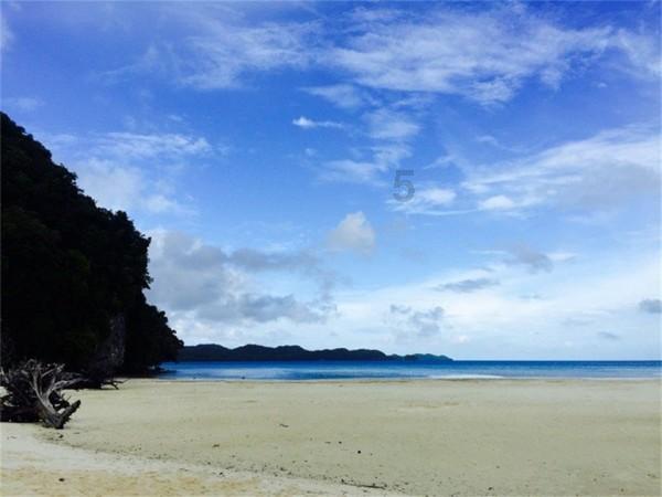 冲浪骑士